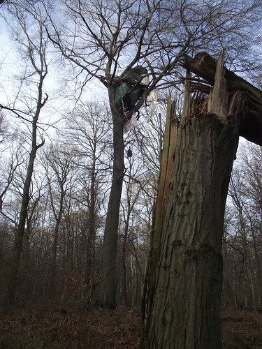 https://farm8.staticflickr.com/7361/12699332233_7092173fff.jpg